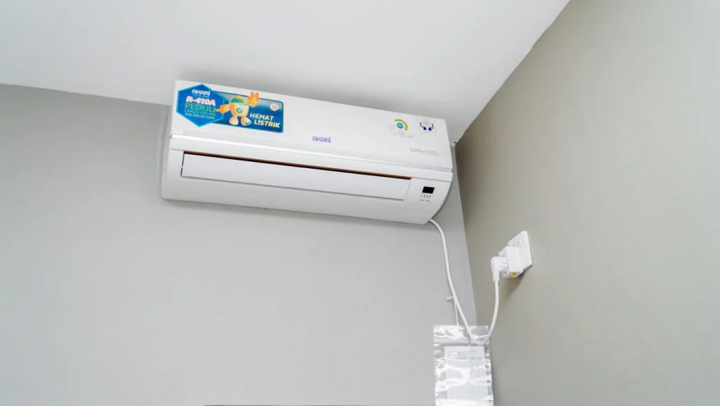 DSC07674 (FILEminimizer)